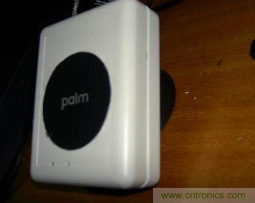 palm