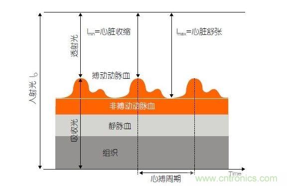 PPG測(cè)量中檢測(cè)器信號(hào)的產(chǎn)生。照射皮膚的光線(I0)被靜脈血或動(dòng)脈血吸收，或反射回檢測(cè)器。信號(hào)的變化分量對(duì)應(yīng)著與心跳同步變化的動(dòng)脈血流量。這個(gè)信號(hào)的變化周期指示了脈率。最小和最大檢測(cè)器信號(hào)的比值(光電流Imin/Imax)為判斷血氧飽和度提供了依據(jù)。